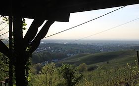 Vogesenblick